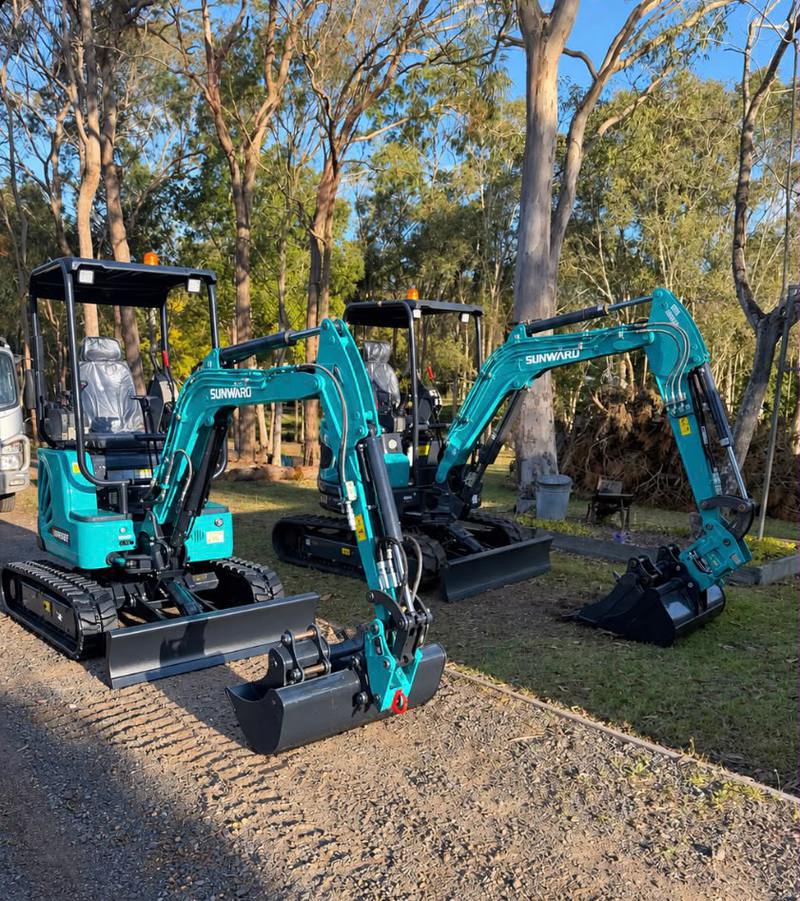 Two of the Sunwards in the yard